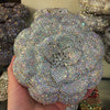 Luxy Moon Flower Luxury Rhinestone Clutch Purse for Wedding