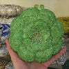 Luxy Moon Flower Luxury Rhinestone Clutch Purse for Wedding