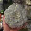 Luxy Moon Flower Luxury Rhinestone Clutch Purse for Wedding